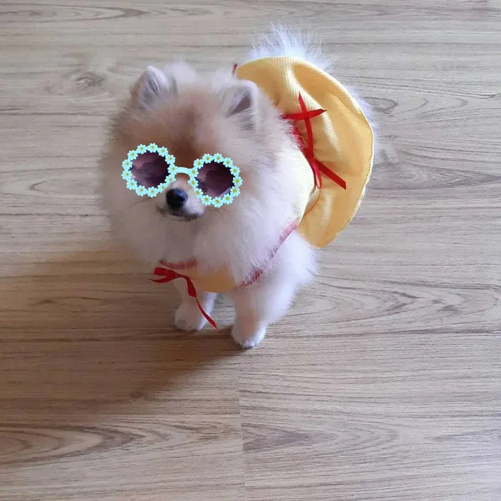 Pet Accessories Flower Sunglasses Circular Pet Accessories Flower Sunglasses Circular