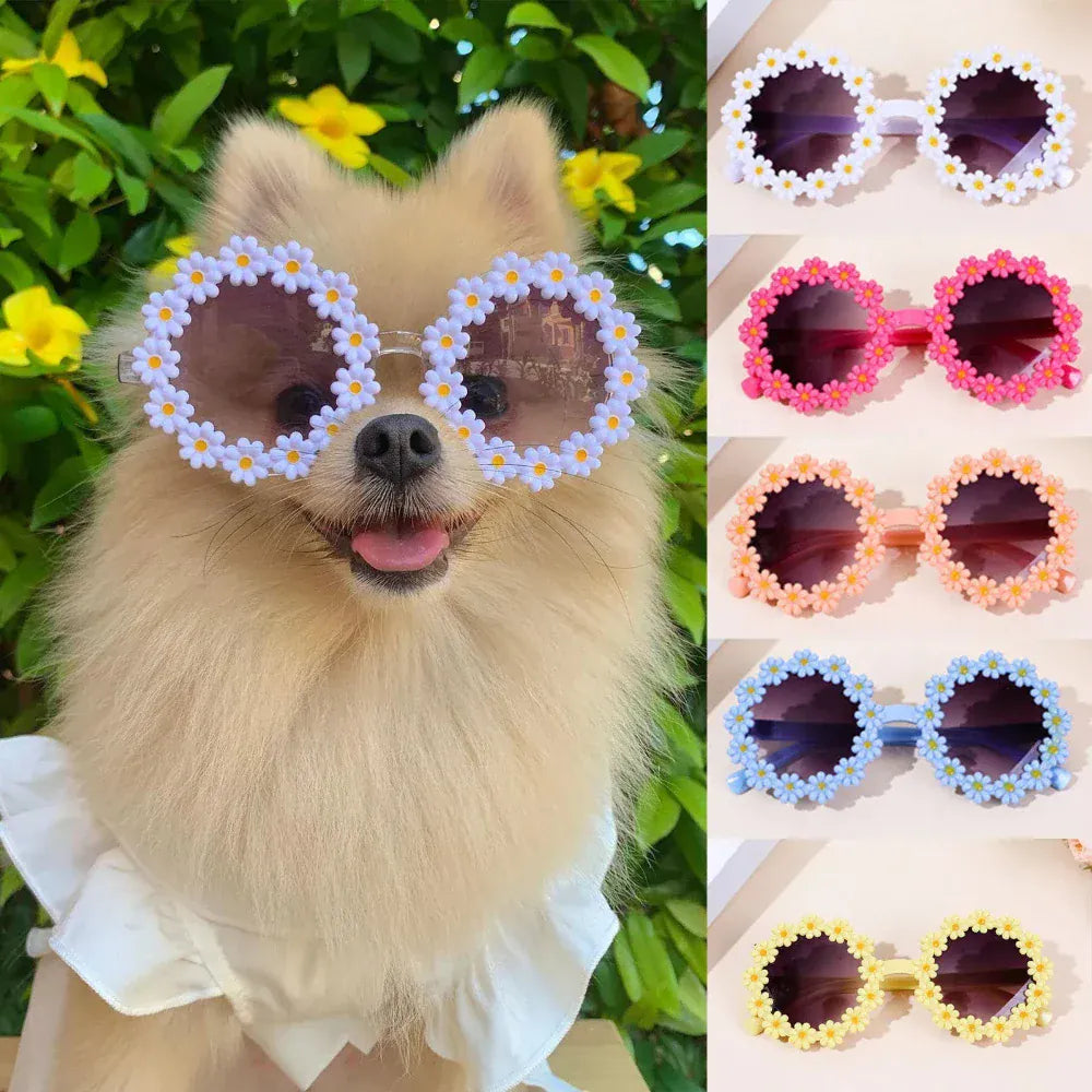 Pet Accessories Flower Sunglasses Circular Pet Accessories Flower Sunglasses Circular