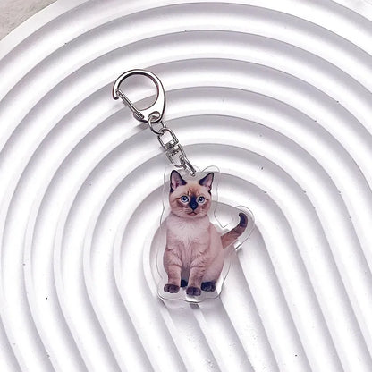 Pet Cat Acrylic Car Keychain Pet Cat Acrylic Car Keychain