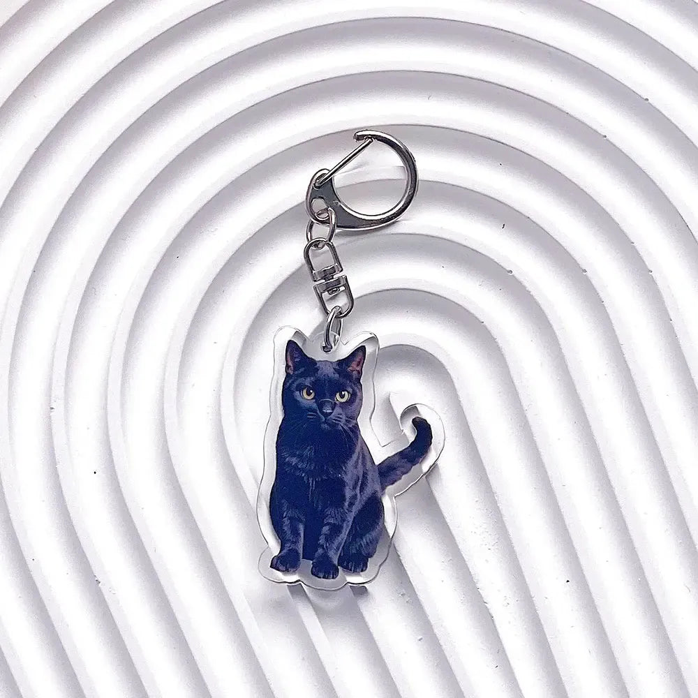 Pet Cat Acrylic Car Keychain Pet Cat Acrylic Car Keychain
