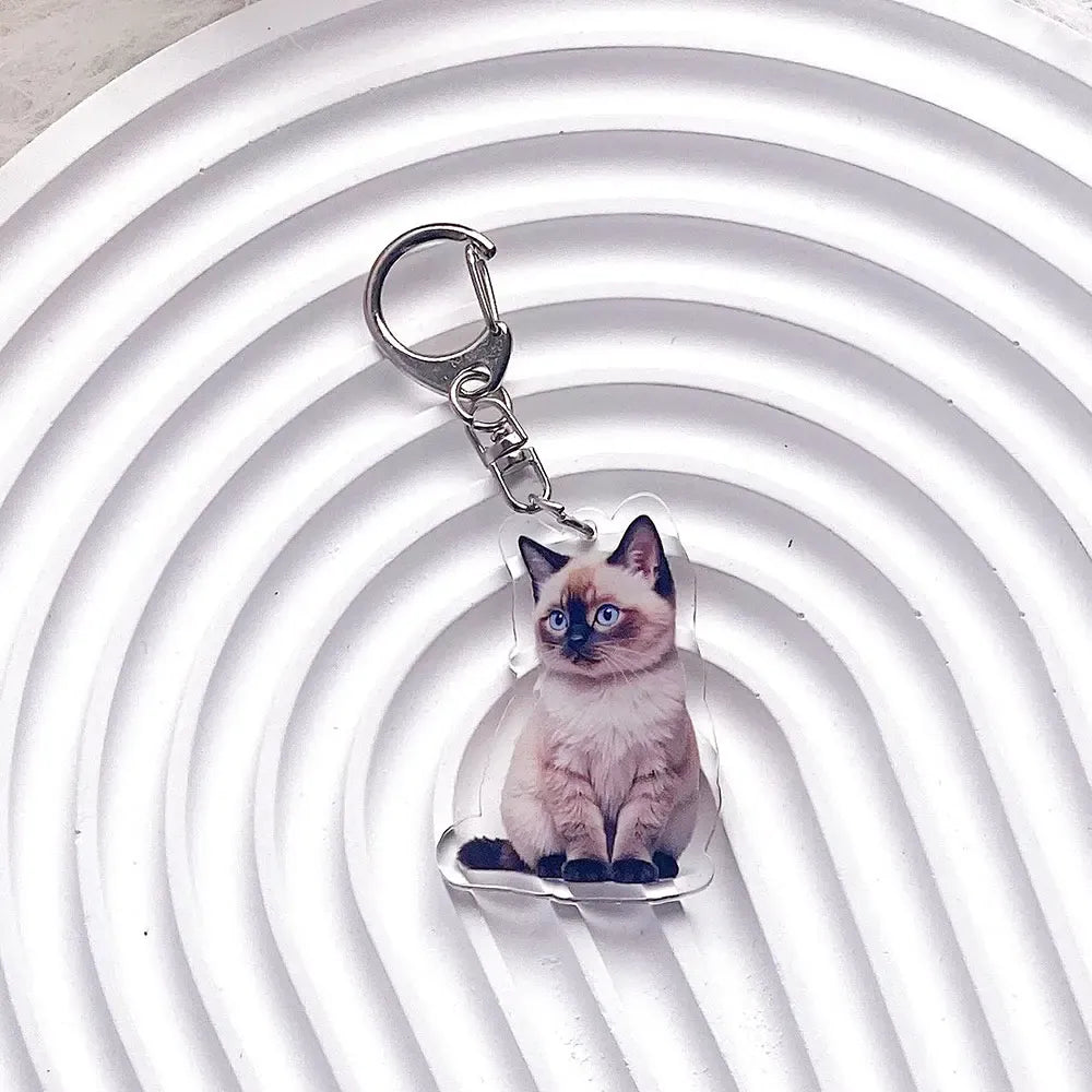 Pet Cat Acrylic Car Keychain Pet Cat Acrylic Car Keychain
