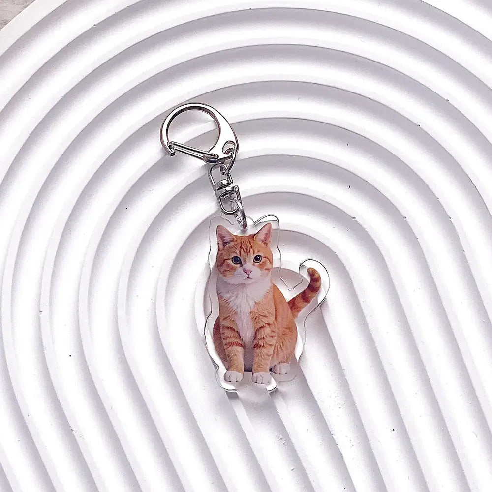 Pet Cat Acrylic Car Keychain Pet Cat Acrylic Car Keychain