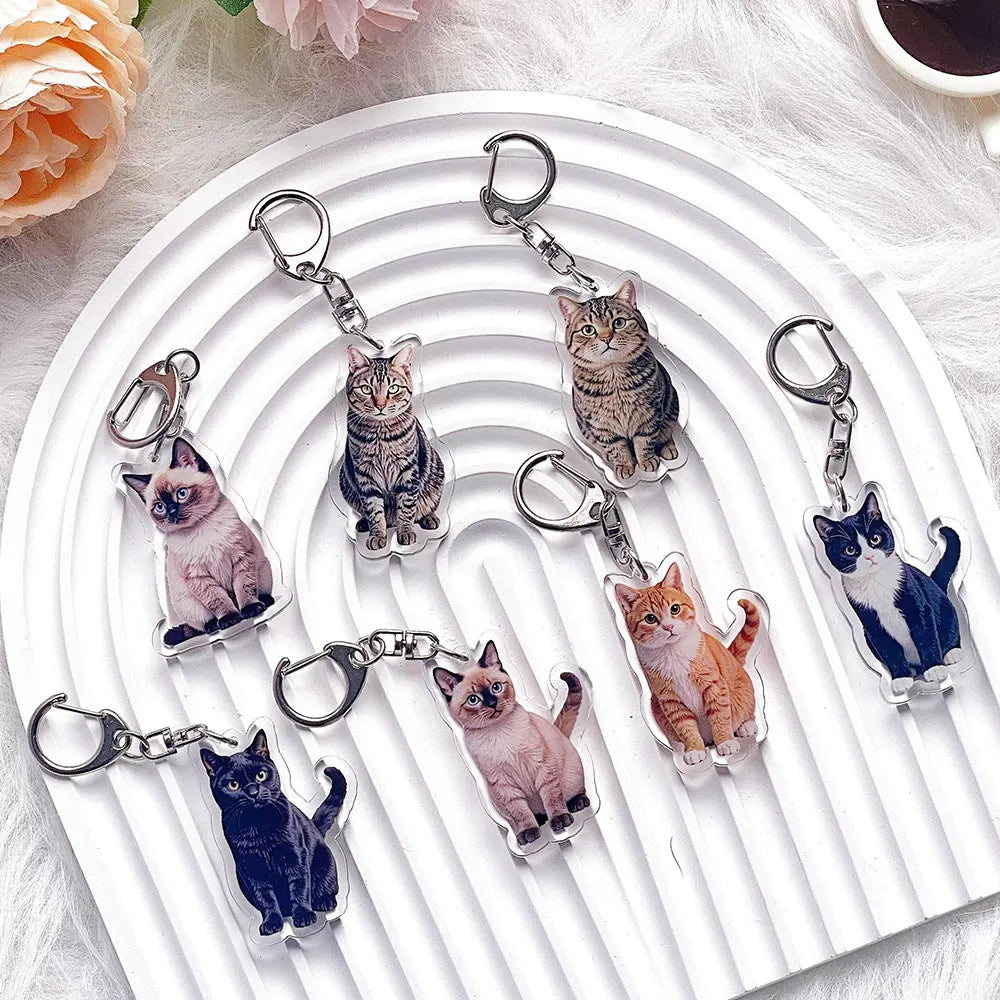 Pet Cat Acrylic Car Keychain Pet Cat Acrylic Car Keychain