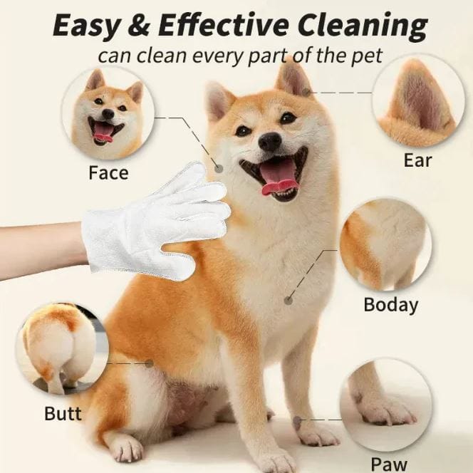 Pet Cleaning Gloves & Wipes Pet Cleaning Gloves & Wipes