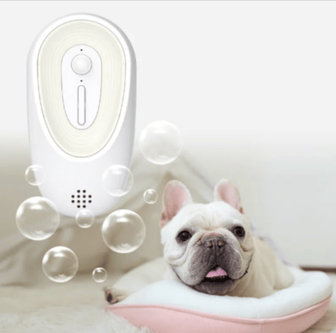 Pet Odor Eliminator for Litter Boxes Pet Odor Eliminator for Litter Boxes
