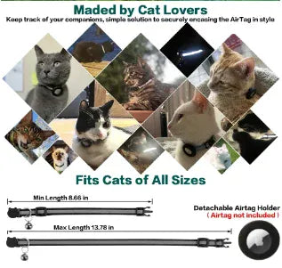 Pet protective case collar anti-loss Pet protective case collar anti-loss