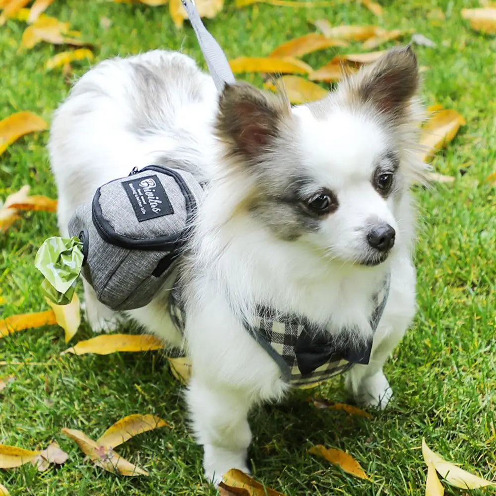 Portable Multifunction Dog training bag Portable Multifunction Dog training bag
