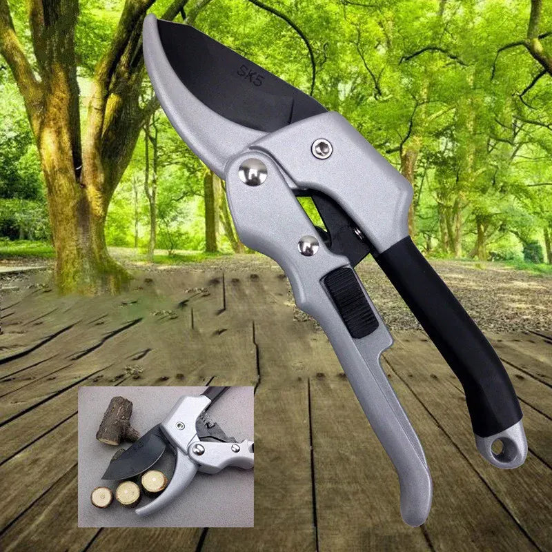 Carbon Steel Pruning Shears — Precision Garden Scissors | Wahooly Professional Carbon Steel Pruning Shears — Precision Beak-Blade Garden Scissors for Bonsai, Flowers & Fruit Branches