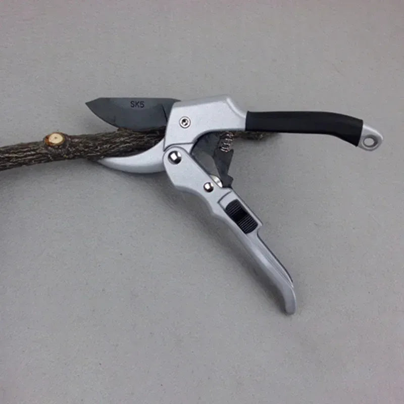 Carbon Steel Pruning Shears — Precision Garden Scissors | Wahooly Professional Carbon Steel Pruning Shears — Precision Beak-Blade Garden Scissors for Bonsai, Flowers & Fruit Branches