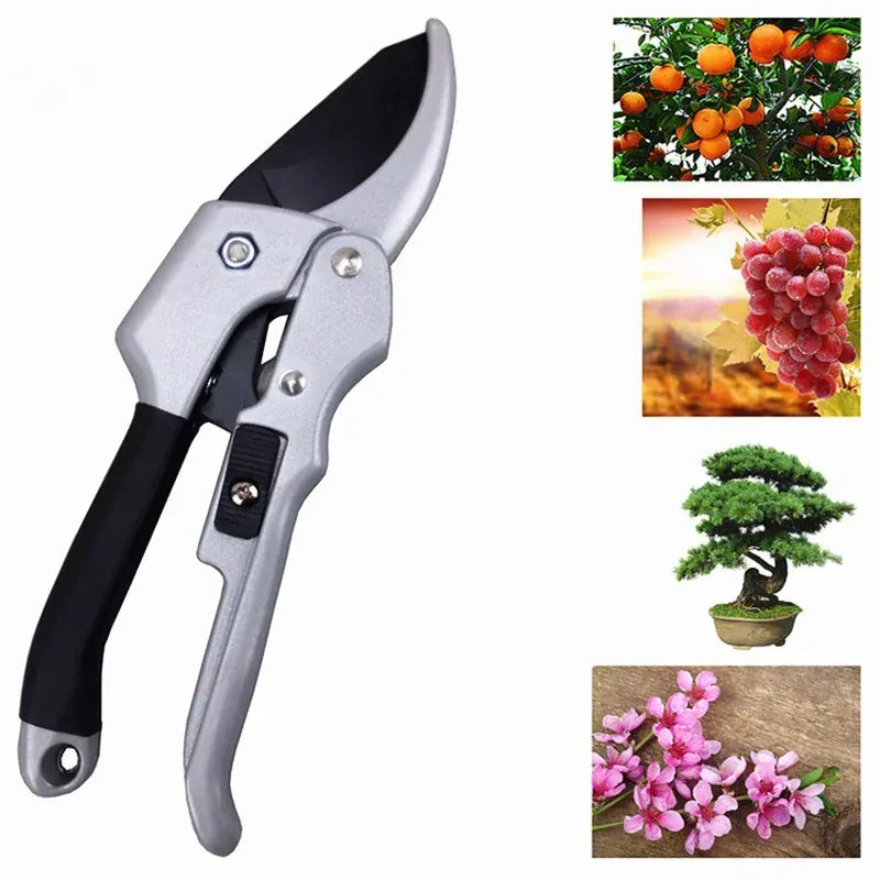 Carbon Steel Pruning Shears — Precision Garden Scissors | Wahooly Professional Carbon Steel Pruning Shears — Precision Beak-Blade Garden Scissors for Bonsai, Flowers & Fruit Branches