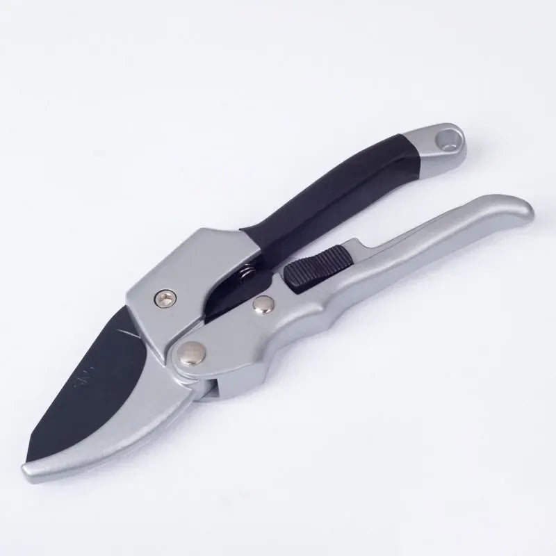 Carbon Steel Pruning Shears — Precision Garden Scissors | Wahooly Professional Carbon Steel Pruning Shears — Precision Beak-Blade Garden Scissors for Bonsai, Flowers & Fruit Branches