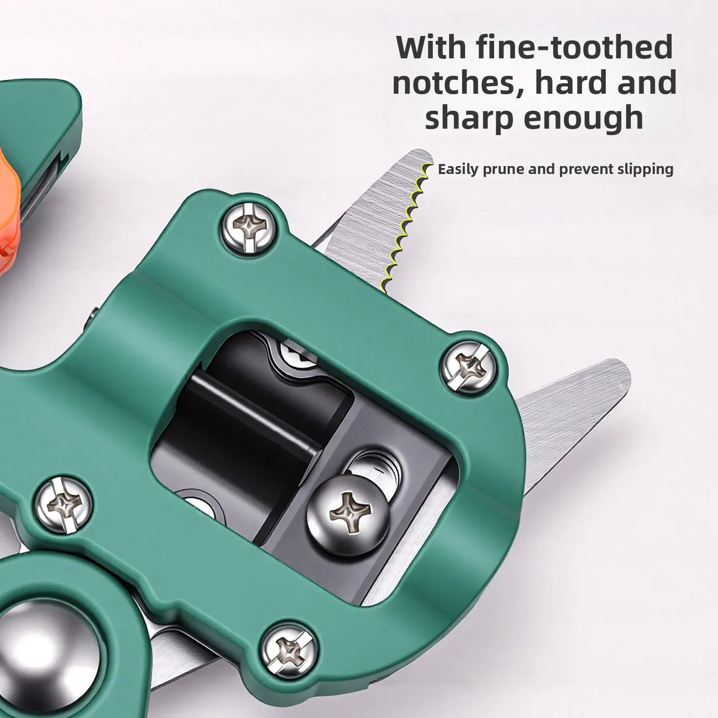 Professional Garden Grafting Tool Set — Fruit Tree Pruning | Wahooly Professional Garden Grafting Tool Set — Fruit Tree Vaccination & Pruning Shears for Farmers & Growers