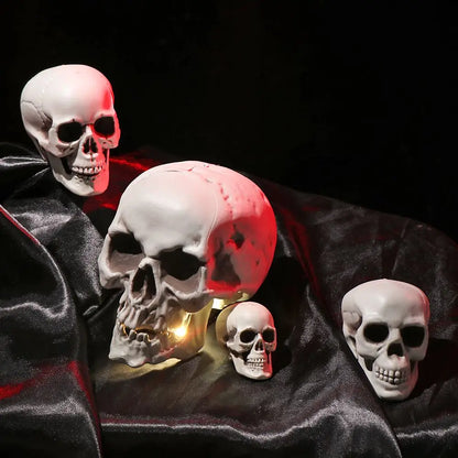Realistic Skull Head Replica – Halloween Skeleton Prop & Decoration Realistic Skull Head Replica – Halloween Skeleton Decoration & Prop