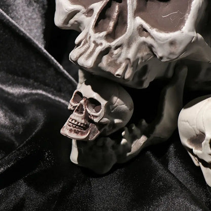 Realistic Skull Head Replica – Halloween Skeleton Prop & Decoration Realistic Skull Head Replica – Halloween Skeleton Decoration & Prop