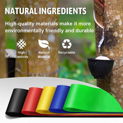 Resistance Bands for Working Out Resistance Bands for Working Out