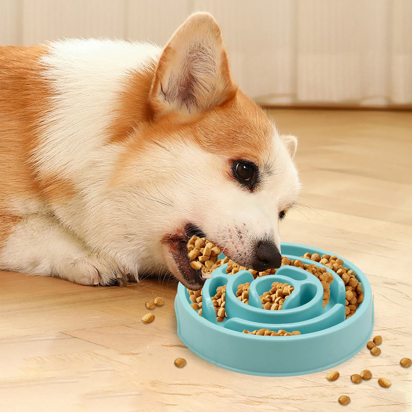 Slow Feeder Bowl for Dogs & Cats | Maze Design Anti-Gulping | Non-Slip | All Sizes Slow Feeder Bowl for Dogs & Cats — Maze Design, Non-Slip, Anti-Gulping | Fun Feeding for All Sizes