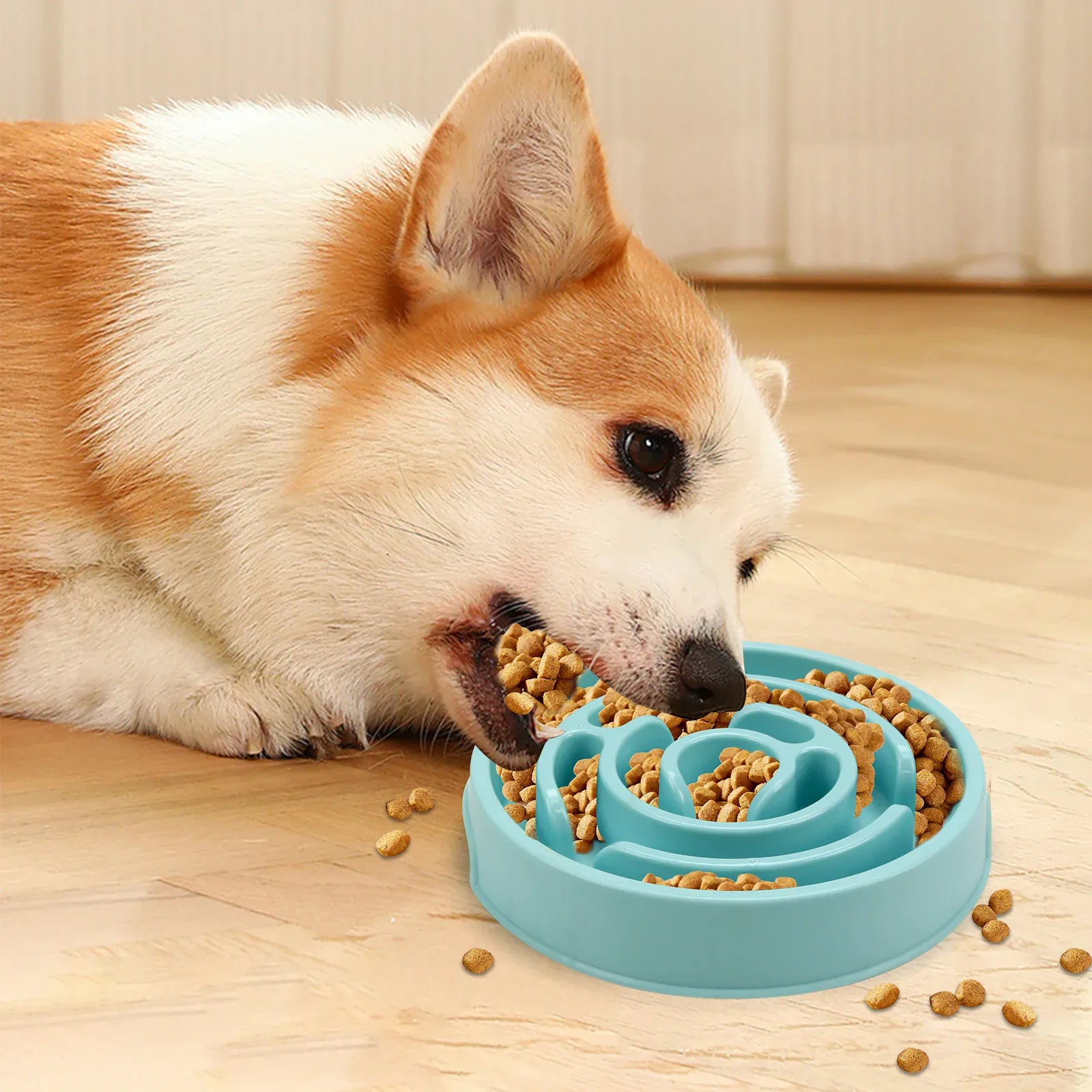 Slow Feeder Bowl for Dogs & Cats | Maze Design Anti-Gulping | Non-Slip | All Sizes Slow Feeder Bowl for Dogs & Cats — Maze Design, Non-Slip, Anti-Gulping | Fun Feeding for All Sizes