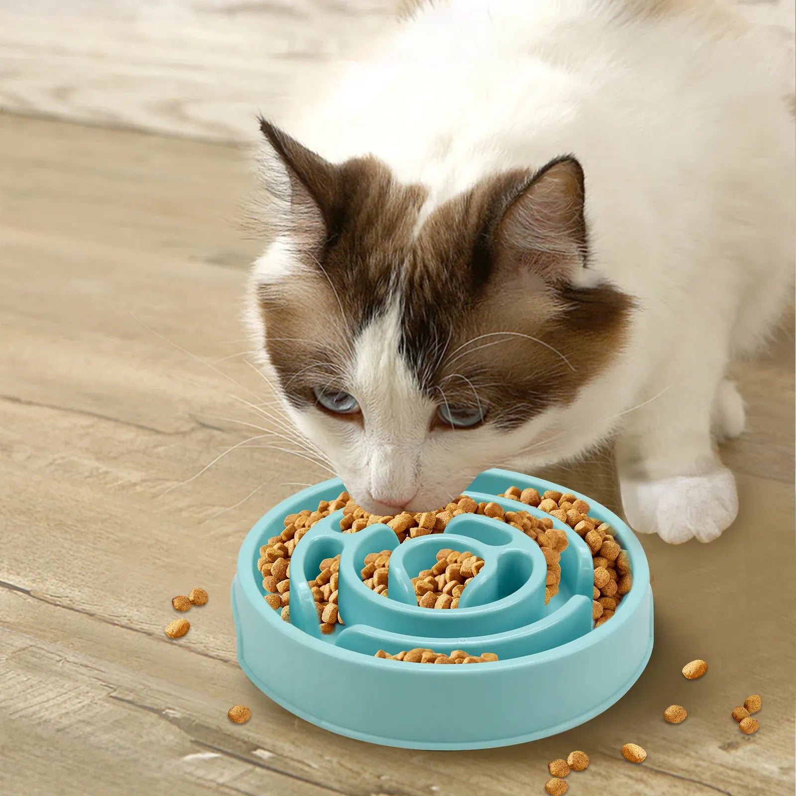 Slow Feeder Bowl for Dogs & Cats | Maze Design Anti-Gulping | Non-Slip | All Sizes Slow Feeder Bowl for Dogs & Cats — Maze Design, Non-Slip, Anti-Gulping | Fun Feeding for All Sizes