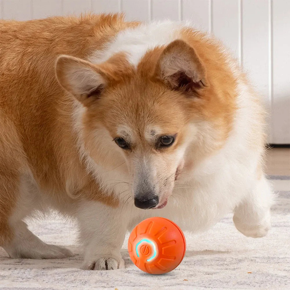 Smart Electronic Moving Ball – Auto Jump & Roll Dog & Cat Toy | Wahooly Smart Electronic Moving Ball – Automatic Jump & Roll Interactive Toy for Dogs & Cats