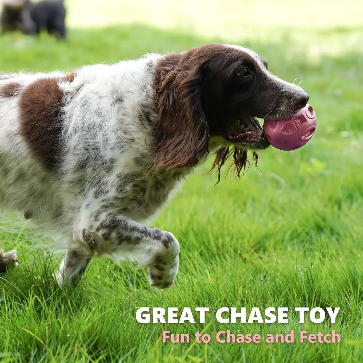 Squeaky Rubber Chew Ball for Aggressive Chewers – Medium & Large Dogs | Wahooly Squeaky Rubber Chew Ball for Aggressive Chewers – Teeth Cleaning Toy for Medium & Large Dogs