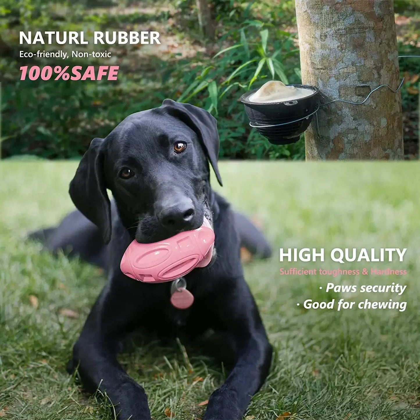 Squeaky Rubber Chew Ball for Aggressive Chewers – Medium & Large Dogs | Wahooly Squeaky Rubber Chew Ball for Aggressive Chewers – Teeth Cleaning Toy for Medium & Large Dogs