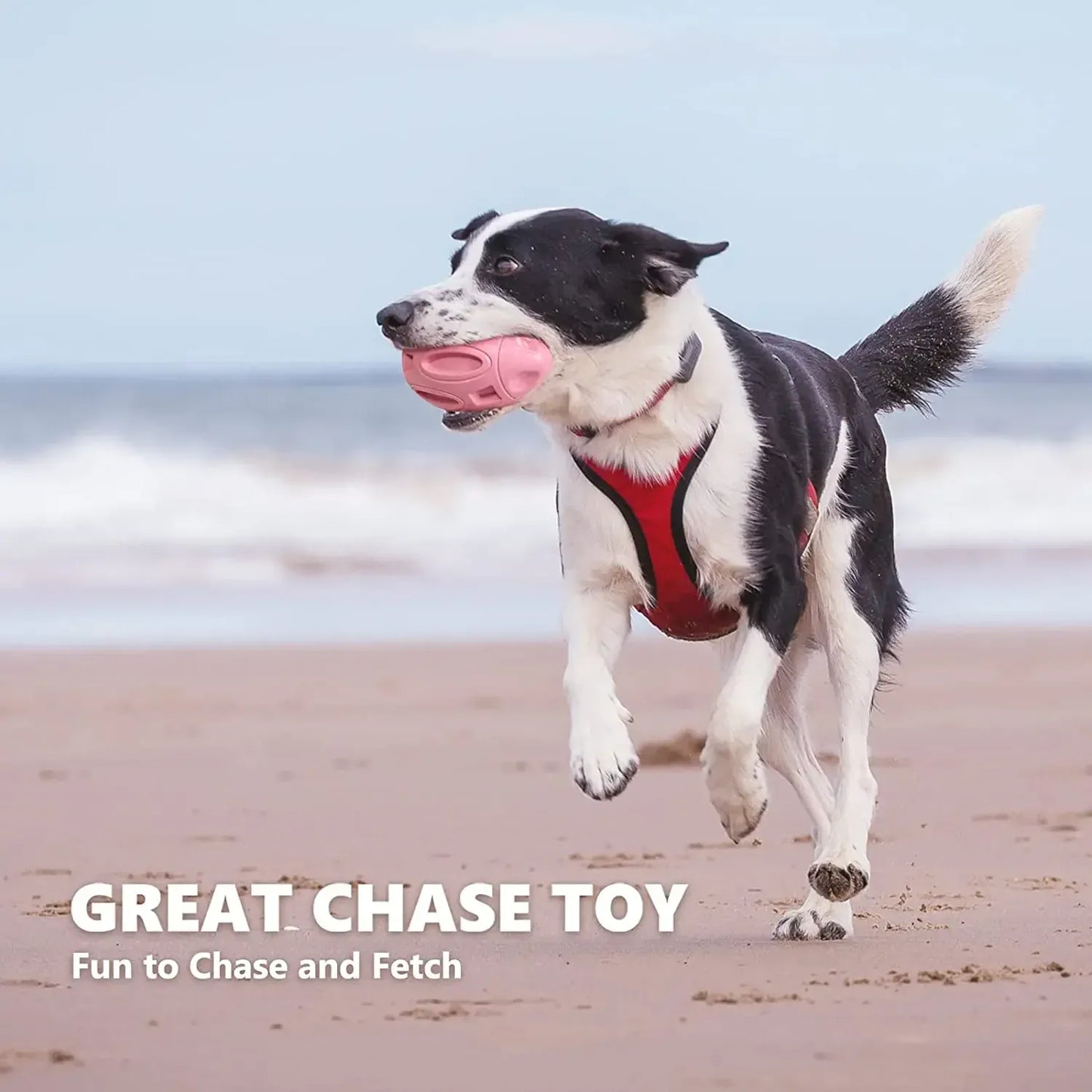 Squeaky Rubber Chew Ball for Aggressive Chewers – Medium & Large Dogs | Wahooly Squeaky Rubber Chew Ball for Aggressive Chewers – Teeth Cleaning Toy for Medium & Large Dogs