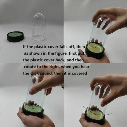 Valentine's Day Roses gift Romantic love plastic cover will glow home bedroom decor trinket Birthday decoration Party Party smal Valentine's Day Roses gift Romantic love plastic cover will glow home bedroom decor trinket Birthday decoration Party Party smal