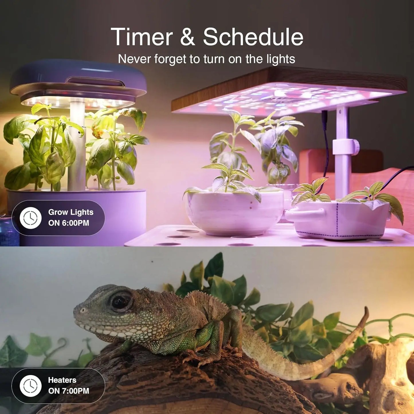 Wifi Smart Power Strip Surge Protector Built-in 3 USB Ports Wifi Smart Power Strip Surge Protector Built-in 3 USB Ports